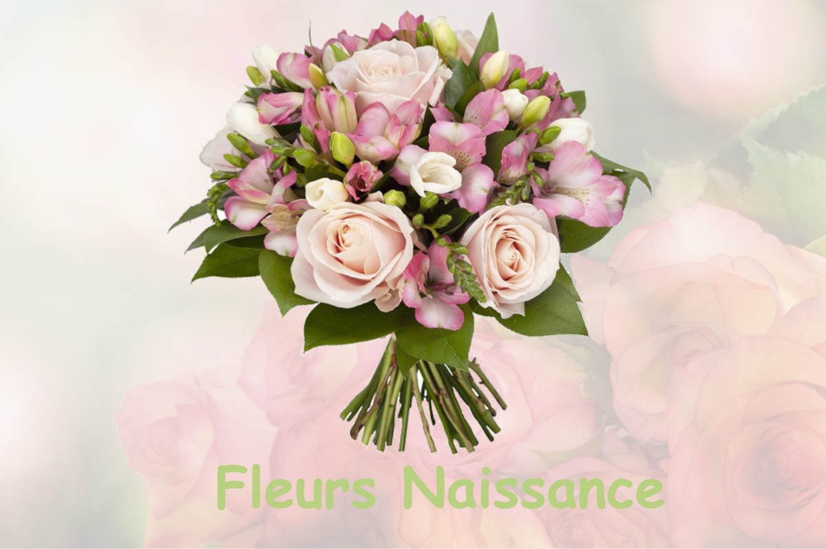 fleurs naissance SERIGNAC-PEBOUDOU